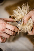 Charger l&#39;image dans la galerie, Coiffez votre chien avec HARRY
