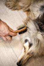 Charger l&#39;image dans la galerie, Coiffez votre chien avec HARRY
