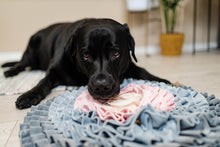 Charger l&#39;image dans la galerie, Tapis pour chien ROSA
