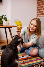 Charger l&#39;image dans la galerie, Le jouet à mâcher pour chien WINER
