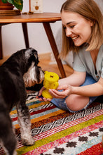 Charger l&#39;image dans la galerie, Le jouet à mâcher pour chien WINER
