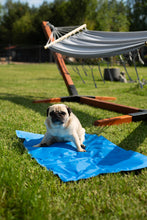 Charger l&#39;image dans la galerie, Tapis rafraîchissant pour chiens ou chats
