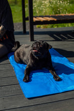 Charger l&#39;image dans la galerie, Tapis rafraîchissant pour chiens ou chats
