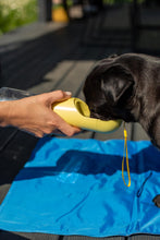 Charger l&#39;image dans la galerie, Tapis rafraîchissant pour chiens ou chats
