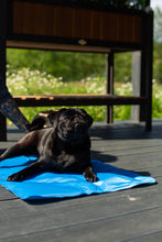 Charger l&#39;image dans la galerie, Tapis rafraîchissant pour chiens ou chats
