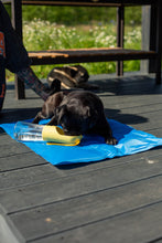 Charger l&#39;image dans la galerie, Tapis rafraîchissant pour chiens ou chats
