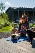 Charger l&#39;image dans la galerie, Tapis rafraîchissant pour chiens ou chats
